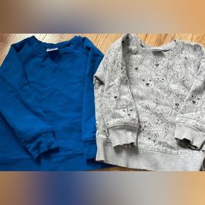 Hanna andersson sweatshirt bundle